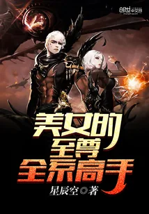《美女的至尊全系高手》小说封面