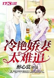 《冷艳娇妻太难追》小说封面