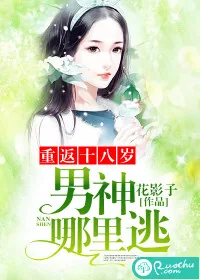 《重返十八岁：男神，哪里逃》小说封面