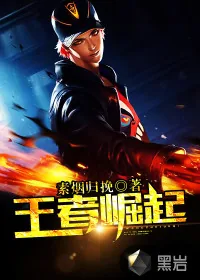 《王者崛起》小说封面