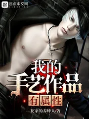 《我的手艺作品有属性》小说封面