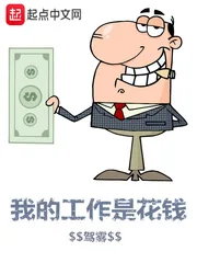 《我的工作是花钱》小说封面