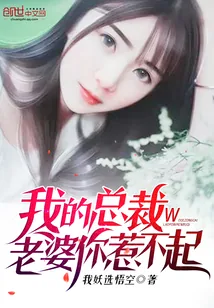 《我的总裁老婆你惹不起》小说封面