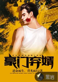 《豪门弃婿》小说封面