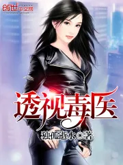 《透视毒医》小说封面