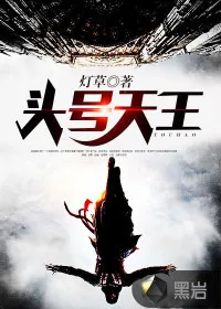 《头号天王》小说封面
