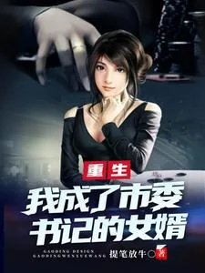 《重生后，我成了市委书记的女婿》小说封面
