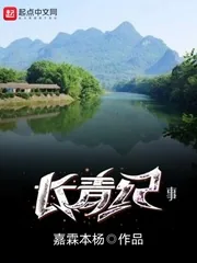 《长青纪事》小说封面