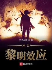 《末世：黎明效应》小说封面