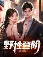 《野性登阶》小说封面