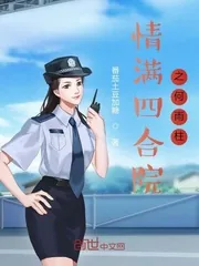 《情满四合院之何雨柱》小说封面