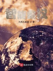 《智能霸权》小说封面