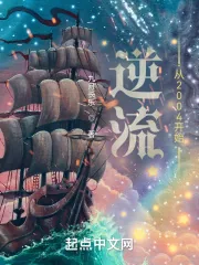 《逆流从2004开始》小说封面