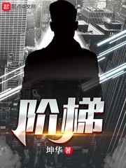 《阶梯》小说封面
