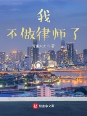 《我不做律师了》小说封面