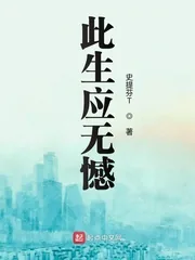 《此生应无憾》小说封面