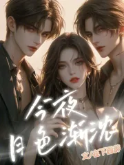 《今夜月色渐浓》小说封面