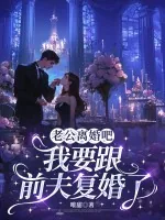 《老公离婚吧,我要跟前夫复婚了》小说封面