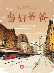 《回到九五当好爸爸》小说封面