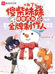 《为了傻柴妹妹被迫成为金牌制作人》小说封面