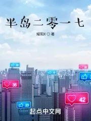 《半岛二零一七》小说封面