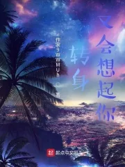 《转身又会想起你》小说封面