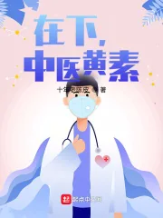 《在下，中医黄素》小说封面