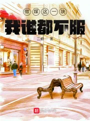 《做媒这一块,我谁都不服》小说封面
