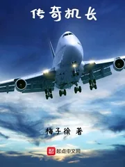 《传奇机长》小说封面