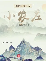 《我的1995小农庄》小说封面