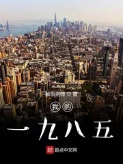 《我的一九八五》小说封面