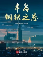 《半岛钢铁之恋》小说封面