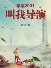 《华娱2001：叫我导演！》小说封面
