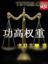 《功高权重》小说封面