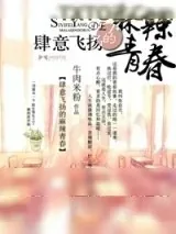 《肆意飞扬的麻辣青春》小说封面