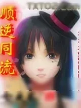 《顺逆同流》小说封面