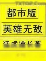 《都市版英雄无敌》小说封面