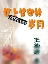 《打上烙印的岁月》小说封面
