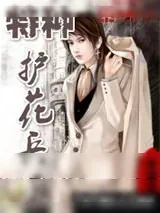 《特种护花兵王》小说封面