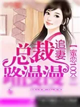 《蜜恋100分：总裁追妻路漫漫》小说封面