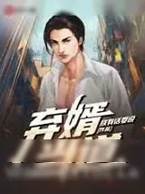 《弃婿当道》小说封面