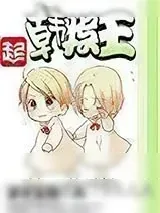《韩娱王》小说封面