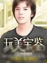 《玩美宝鉴》小说封面