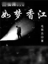 《如梦香江》小说封面
