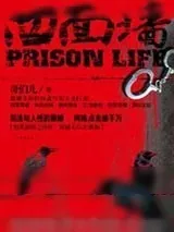 《四面墙》小说封面