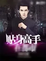 《贴身高手在都市》小说封面