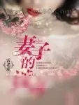 《妻子的谎言》小说封面