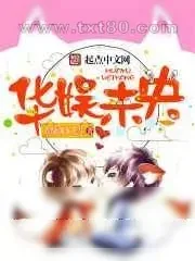 《华娱未央》小说封面