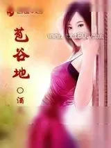 《苞谷地》小说封面