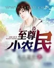 《至尊小农民》小说封面